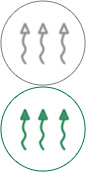 XPJ新京葡永久性吸湿排汗