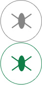 XPJ新京葡高效抗菌