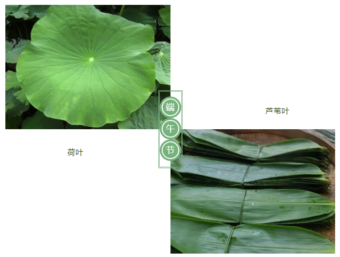 XPJ新京葡医纺