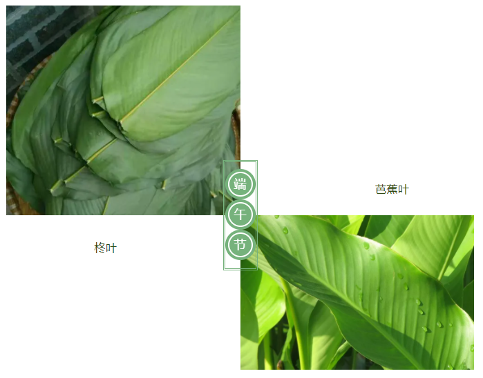 XPJ新京葡医纺
