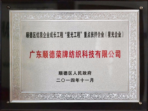 XPJ新京葡-2012年获顺德政府颁发“星光企业”称号