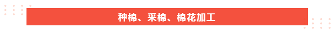 XPJ新京葡医纺