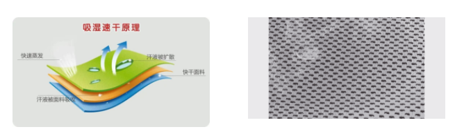 XPJ新京葡医用纺织