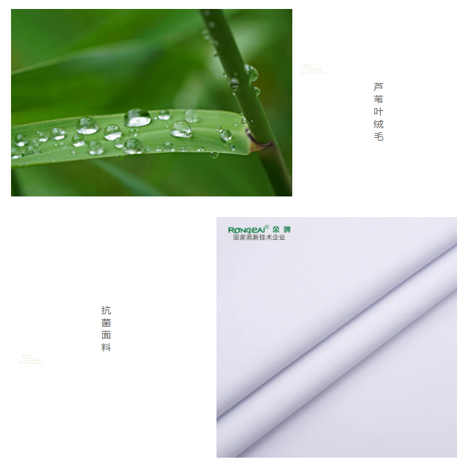 XPJ新京葡医纺