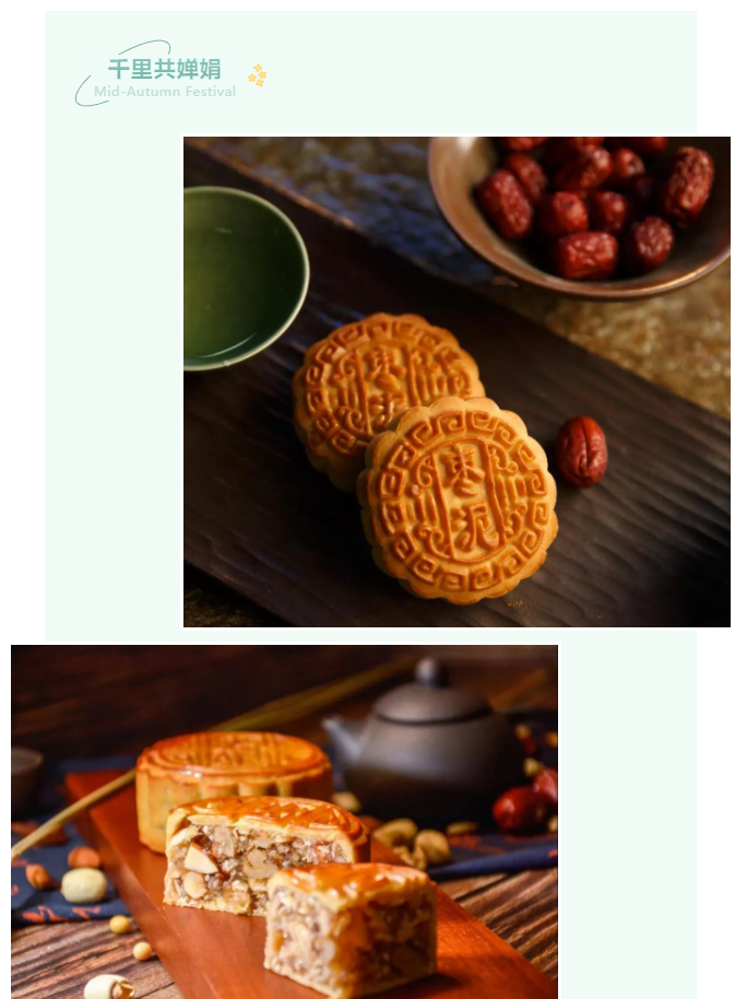 XPJ新京葡医纺