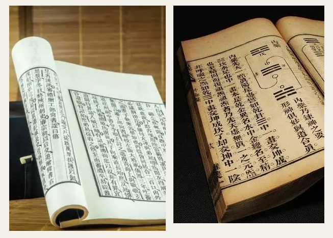 XPJ新京葡医纺